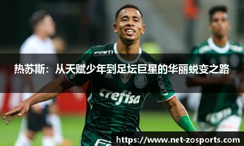 中欧体育官方网站